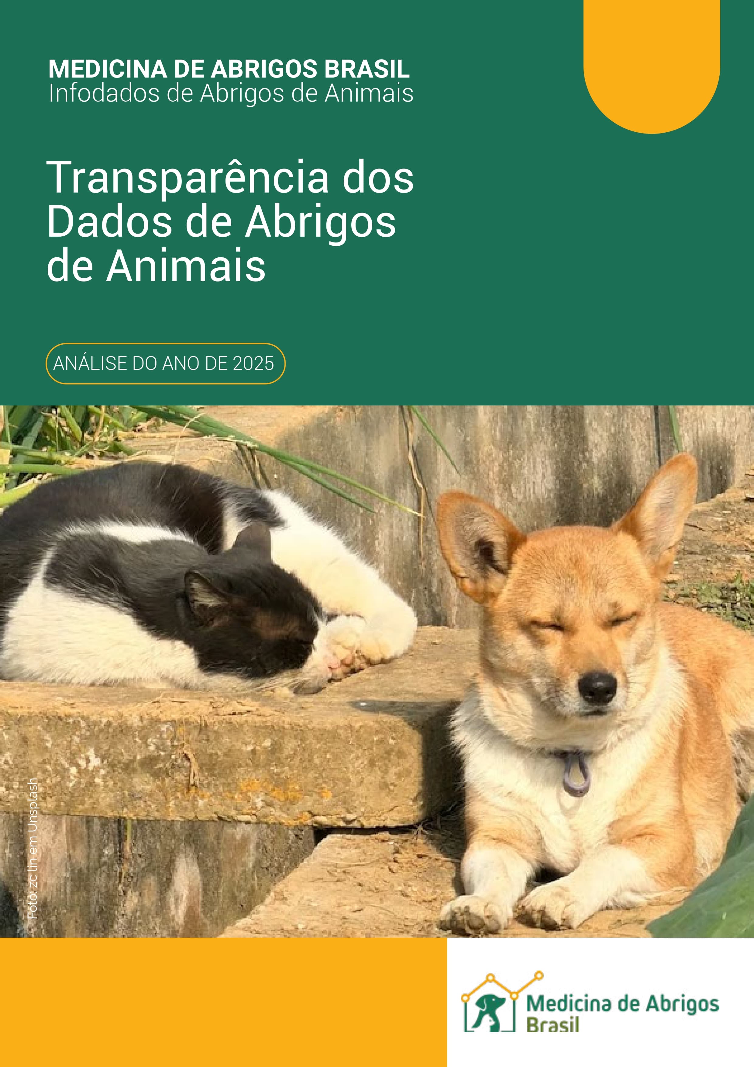 Relatório Anual 2025